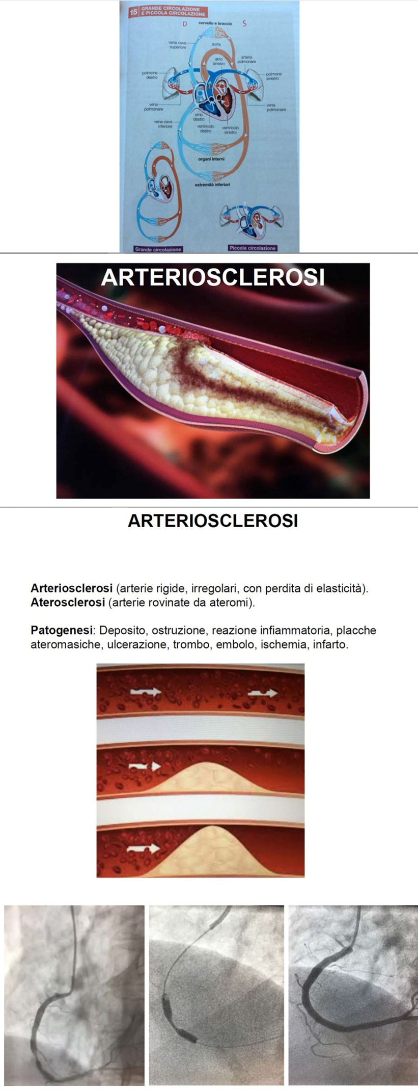 Mardegan5.png
