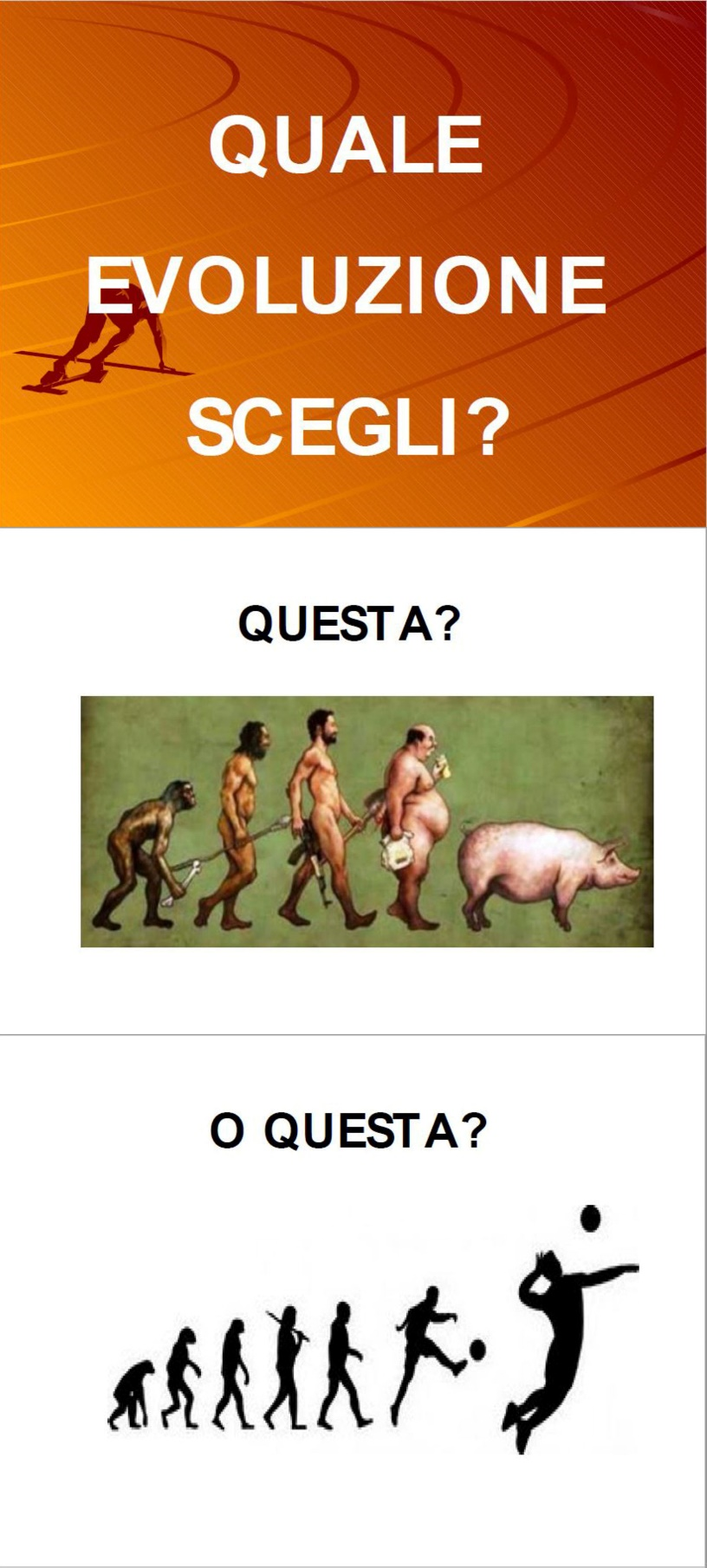 Da cura a cultura8.png