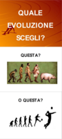 Da cura a cultura8.png