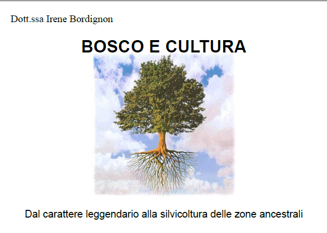 Bordignon1.png