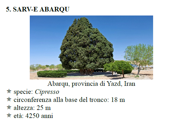 Bordignon9.png