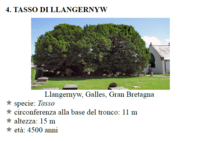 Bordignon10.png