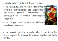 Bordignon76.png