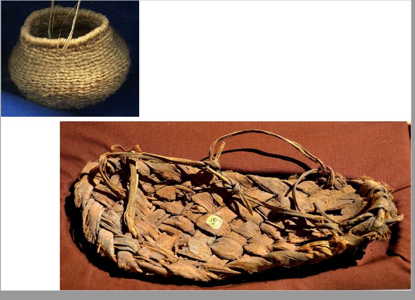Bordignon109.png
