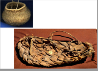 Bordignon109.png