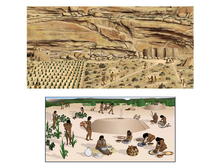 Bordignon153.png