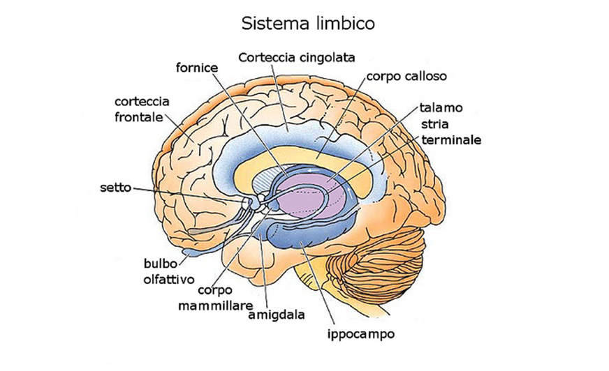 Balestra_gestione emozioni4.png