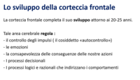 Balestra_gestione emozioni6.png